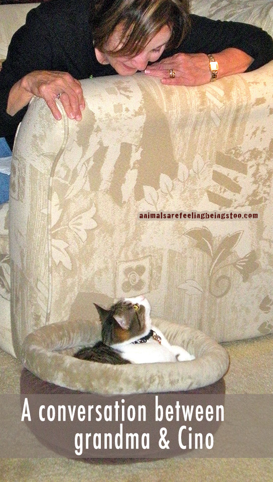 mom-and-cino-with-words2