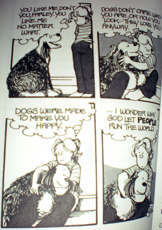 cartoon-dogs-friends