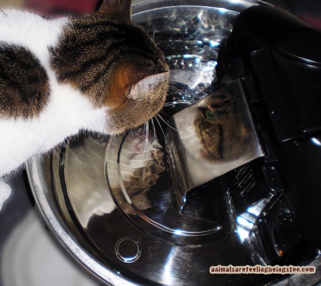 double-photo-challenge