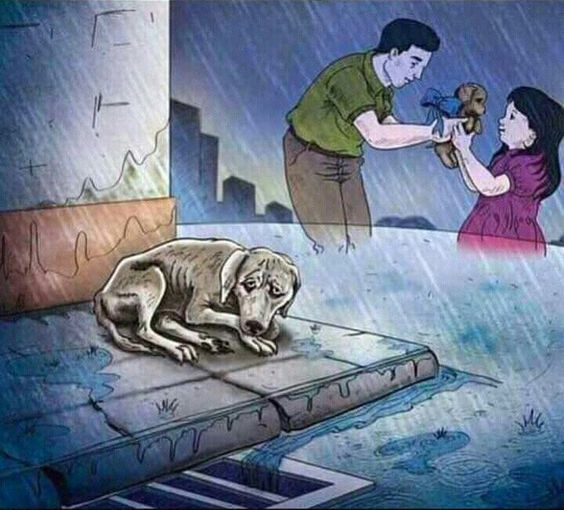 dog-on-street-being-ignored