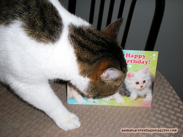 Cino-checking-out-bdaycard