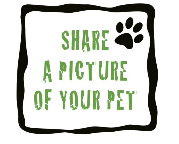 share-a-petpic-words