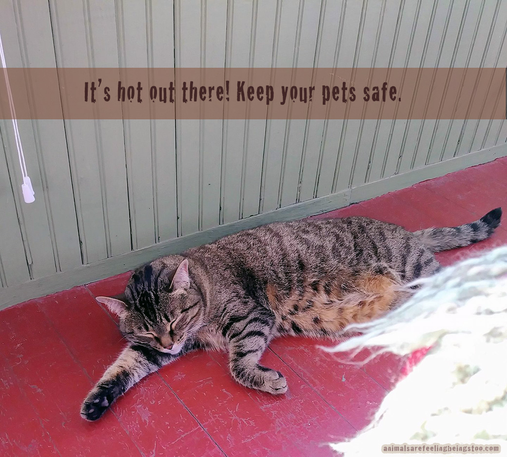 Dakota-Trish-on-very-hot-day-edited