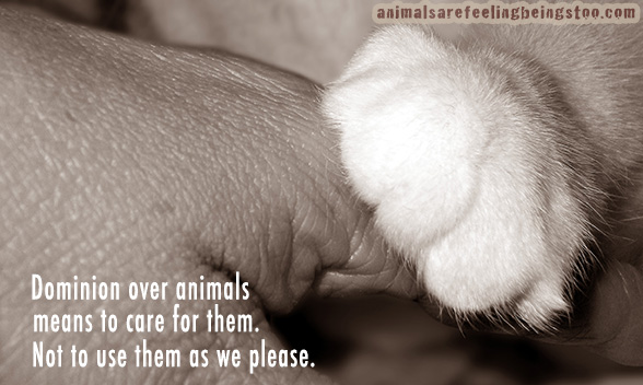 hand-and-paw-for-blog-post-small2