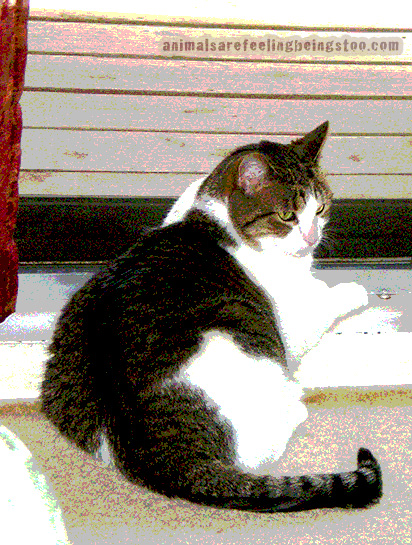 that-face-posterized