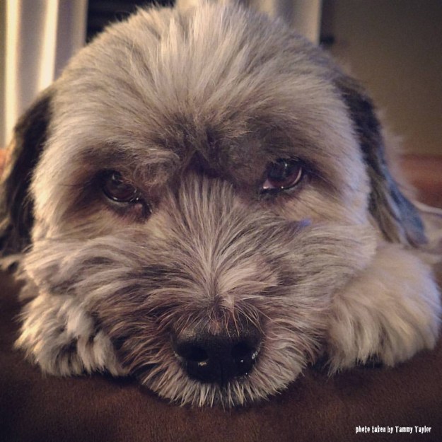 Dakota-Tammy-no-edit-but-words