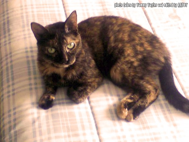 Mitzi-edited-with-words