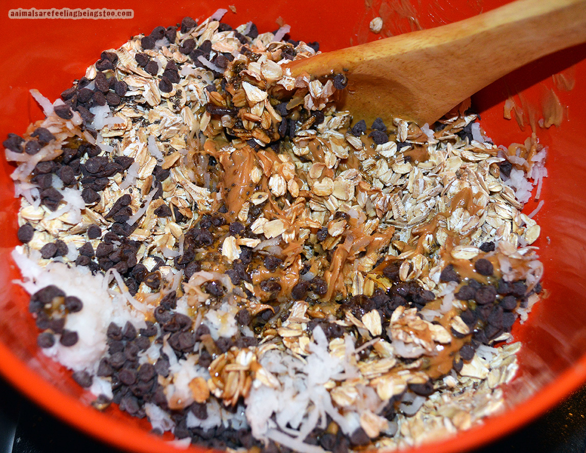 chia energy bites mix