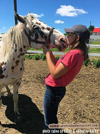 karli-and-horse-aafbt-sharpened