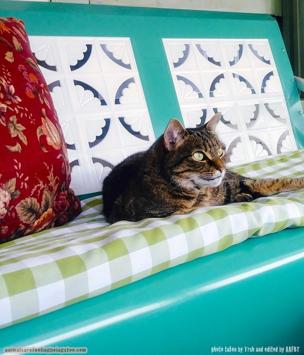 trish-dakota-seeing-a-bird-aafbt