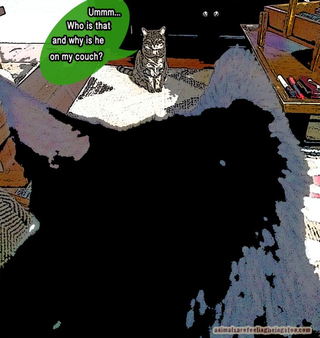 dakota and panda from afar-poster