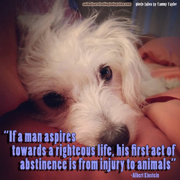 mya-head-relaxing-for-post-with-quote