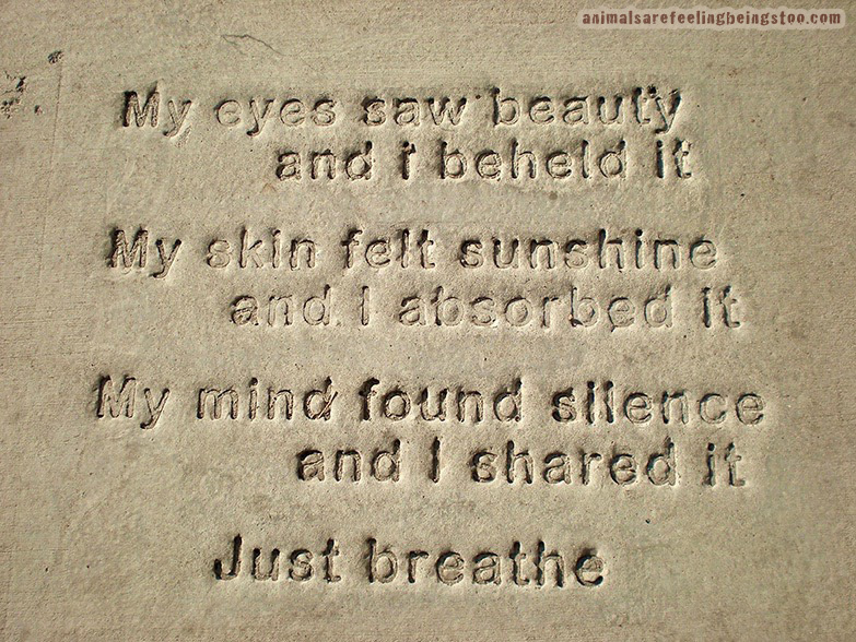 sidewalk-saying-aafbt