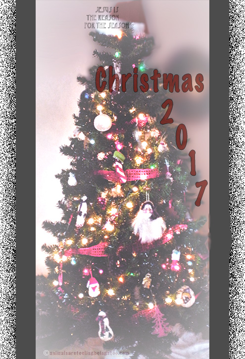 christmas tree 2017-aafbt