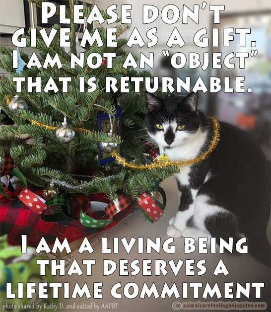 kathy-pancake-with-words-aafbt