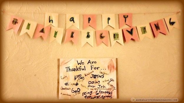 thankful-family-project-Pam-edited-aafbt