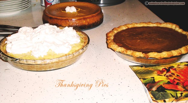thanksgiving-pies-aafbt