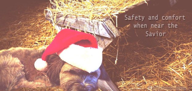 dakota-manger2-aafbt2