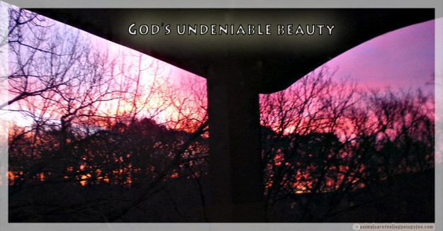 god's undeniable beauty-aafbt