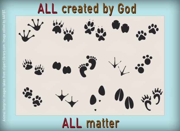 footprints-all-matter