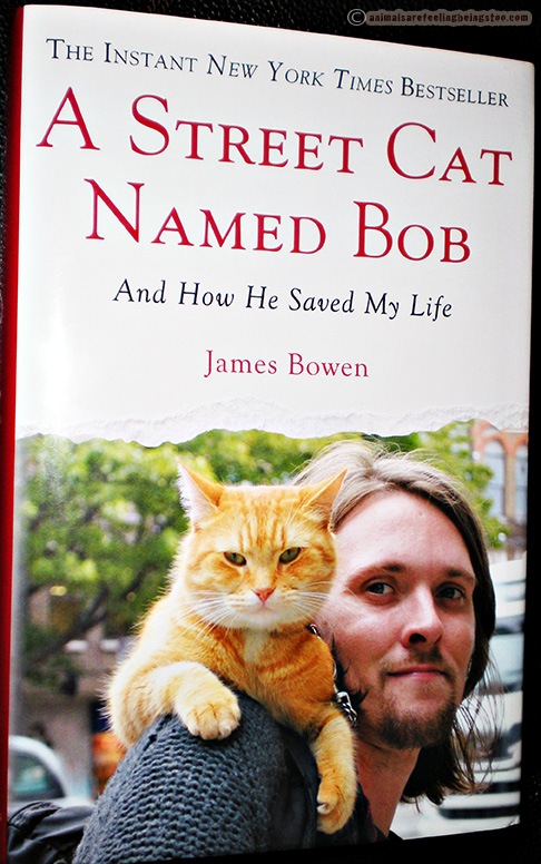street-cat-named-bob-book-aafbt
