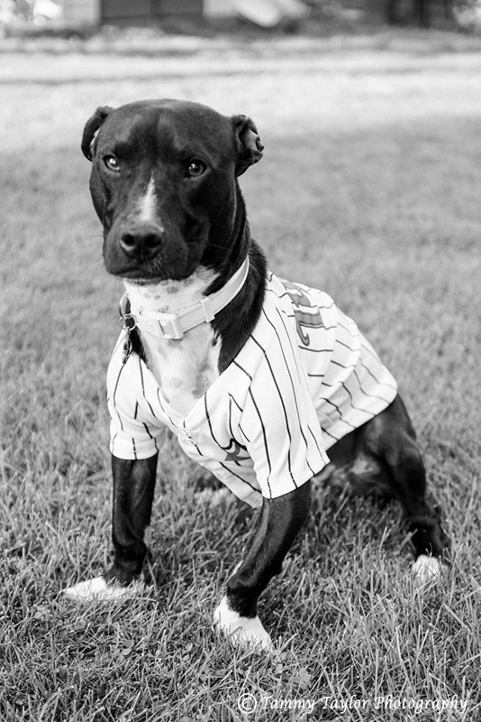 butterfinger copyright