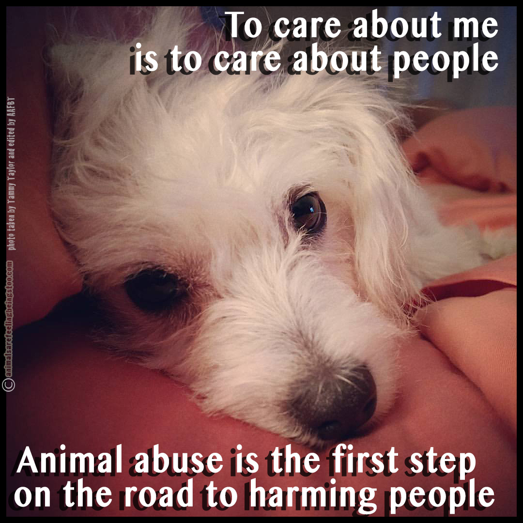 mya-face-words-aafbt