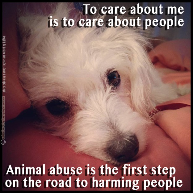 mya-face-words-aafbt