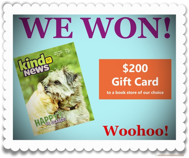 red-rovers-reading-drawing-aafbt