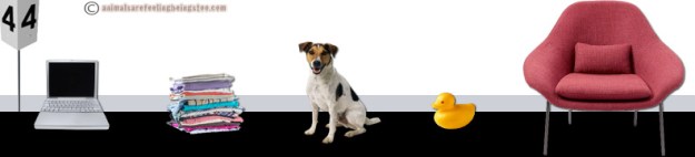 conveyor-belt4-aafbt