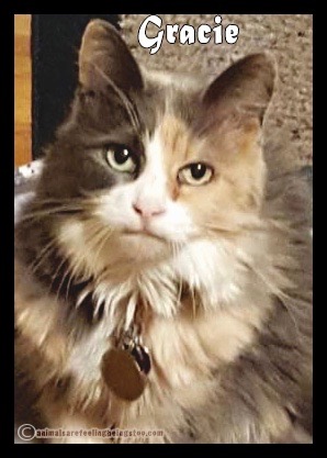 kathy-gracie-aafbt2 (1)