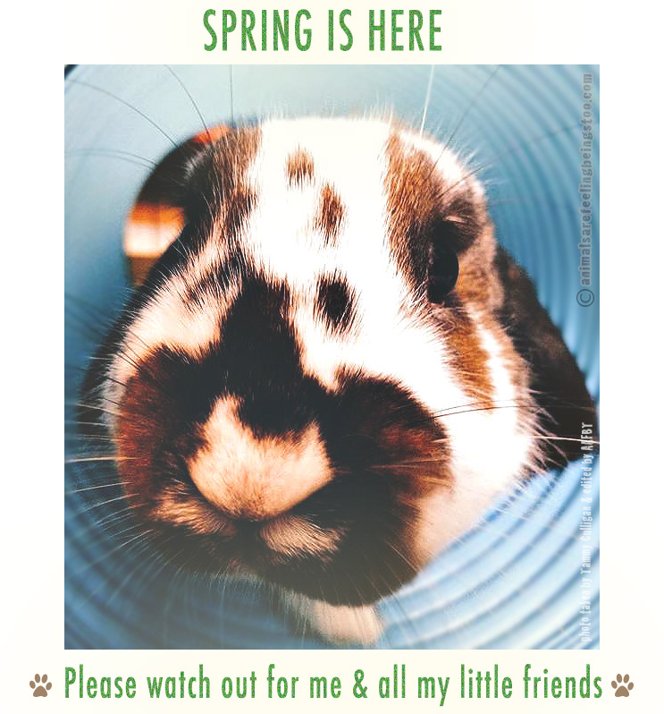 astro-with-words-and-border-aafbt