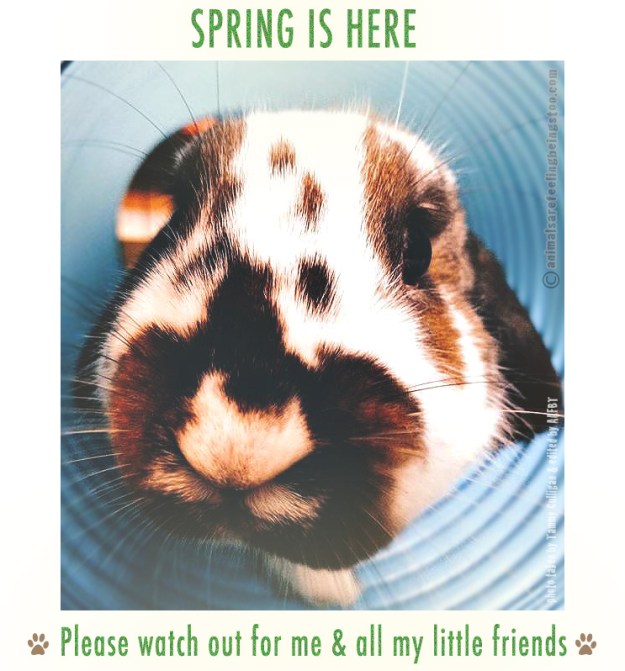 astro-with-words-and-border-aafbt