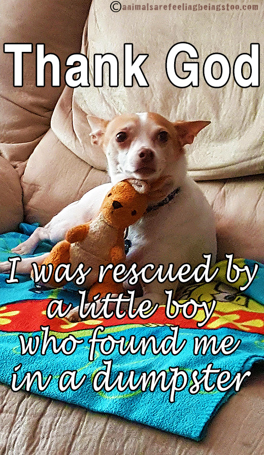 jack3-2017-edited-with-words-aafbt