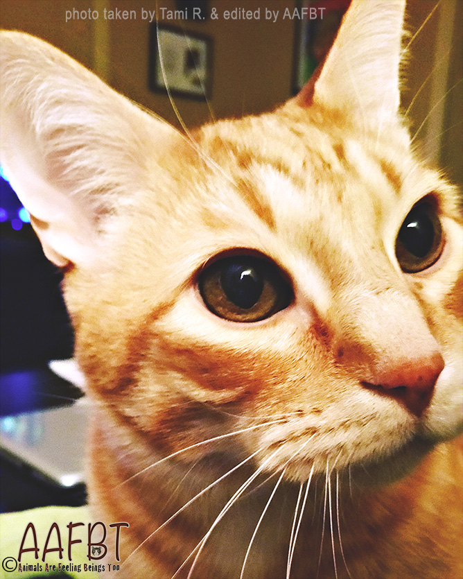 anders-closeup-edited-aafbt