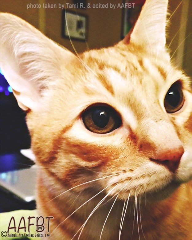 anders-closeup-edited-aafbt