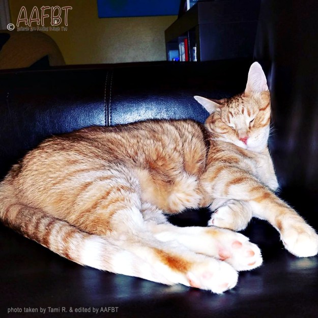 anders-on-couch-edited-aafbt