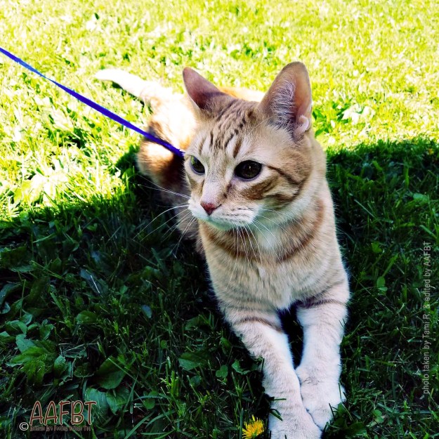 anders-outside-edited-aafbt