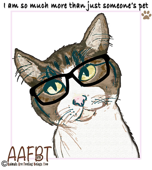 cino-with-glasses-tweaked-smaller-aafbt