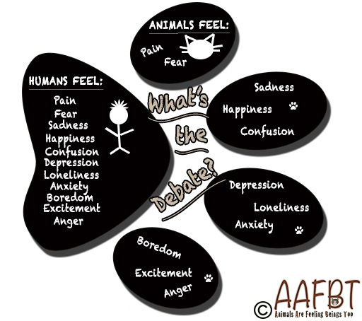 paw-print-art-aafbt-copyright-onaboutpage