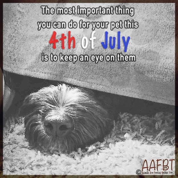 under-cover-4th-of-july-aafbt.jpg