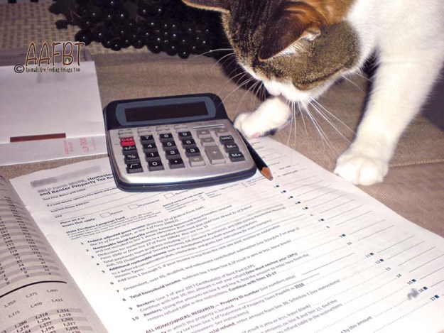 cino-helping-with-taxes-aafbt