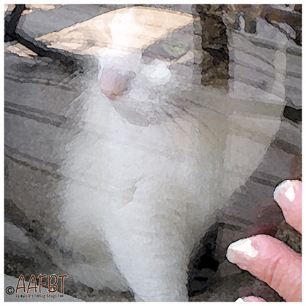 cino-seeing-through-glass-filter-aafbt