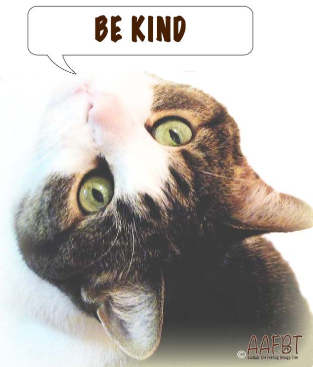 cino-looking-up-be-kind-aafbt