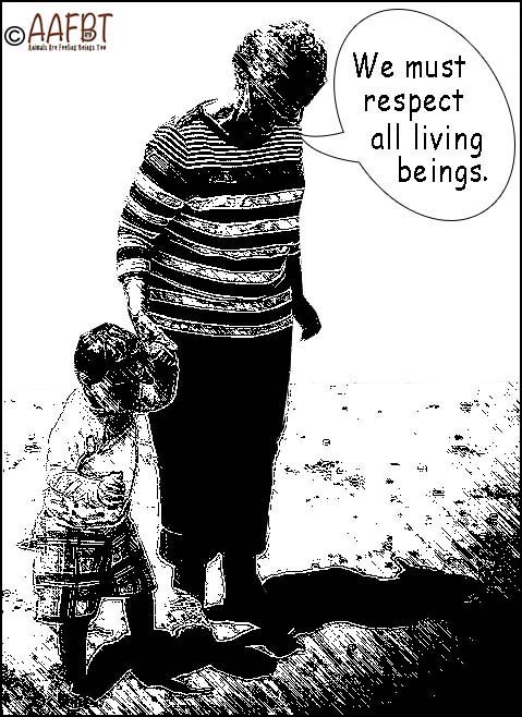 auntjanice-seth-aafbt-creation-border