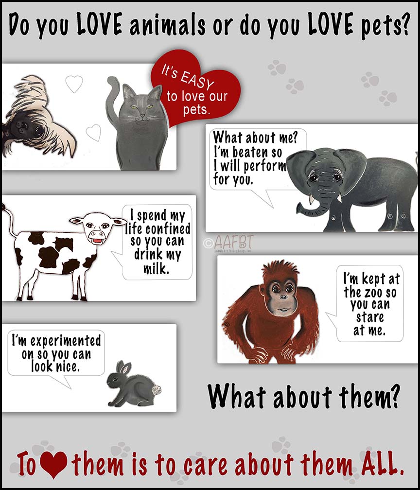 do you love animals or just pets?-aafbt