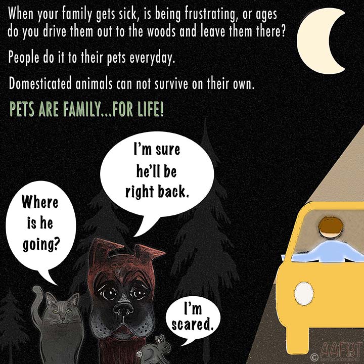 don't abandon your pets-aafbt