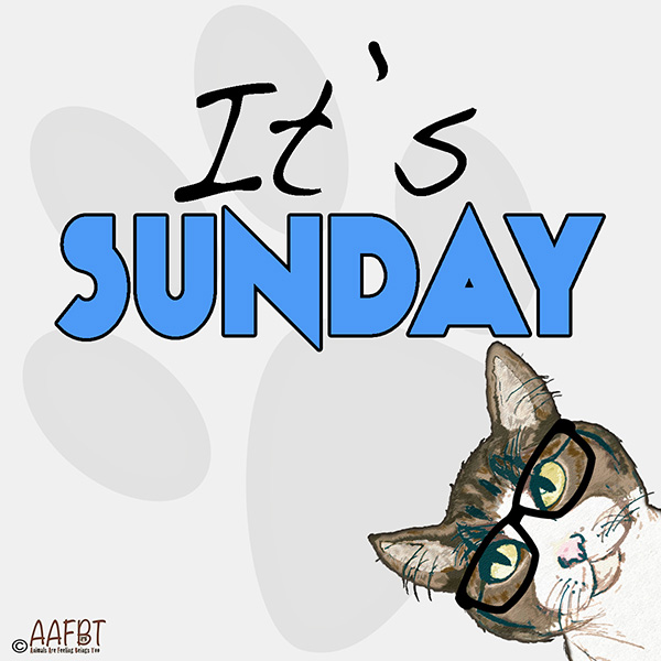 its-sunday-aafbt