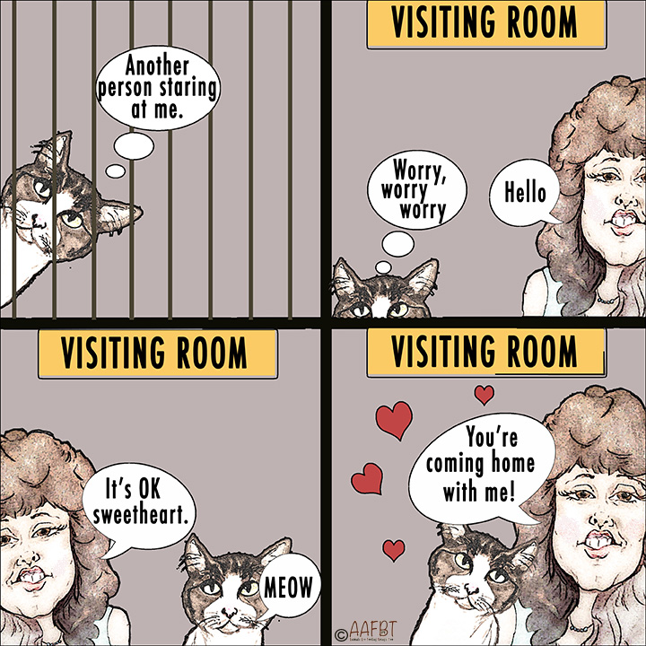 cino-and-I-cartoon-skit-first-meet-aafbt2