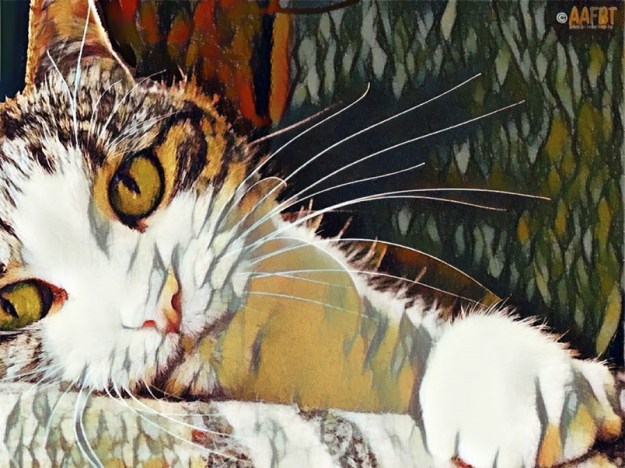 cino-colorful-art-2018-aafbt